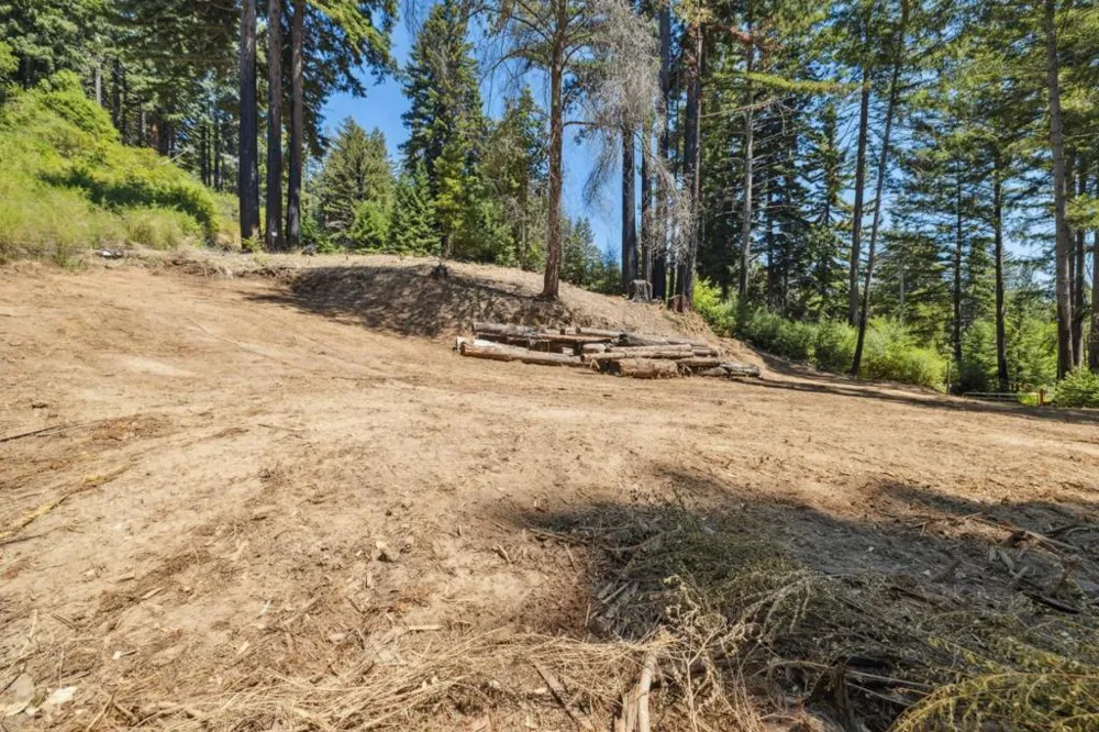 & 06 Branson Boulder Creek, CA 95006