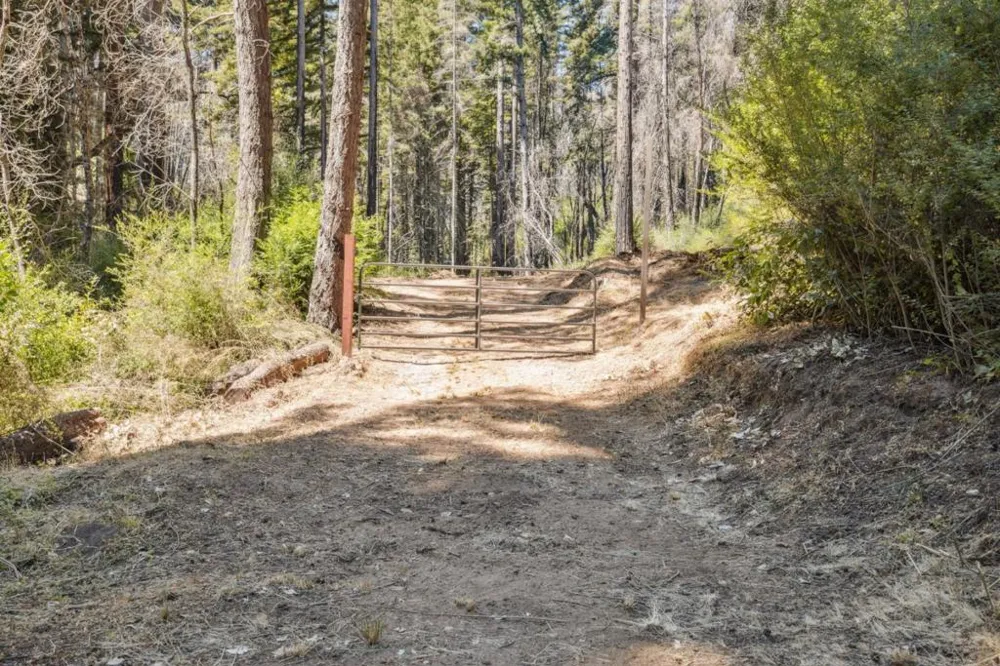 & 06 Branson Boulder Creek, CA 95006