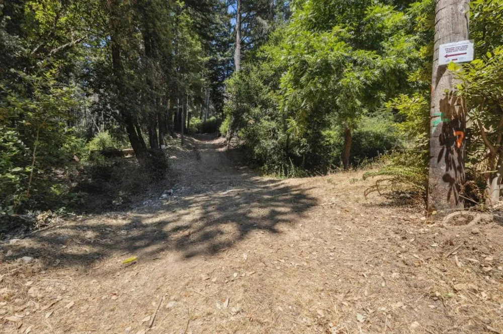 & 06 Branson Boulder Creek, CA 95006