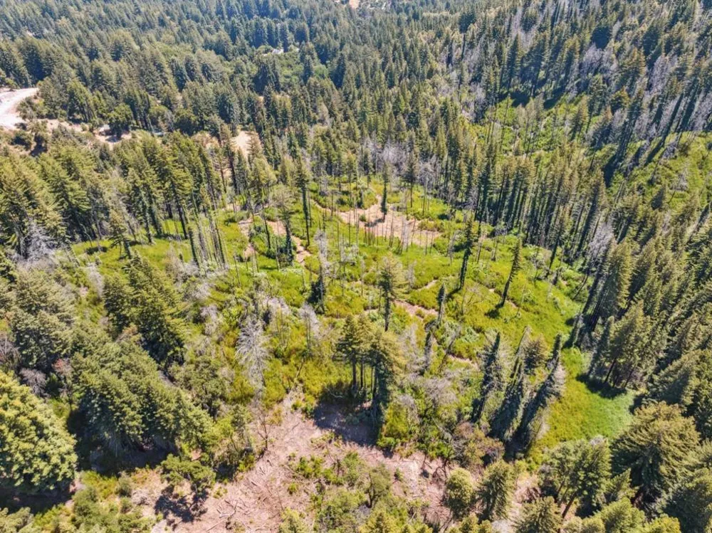& 06 Branson Boulder Creek, CA 95006