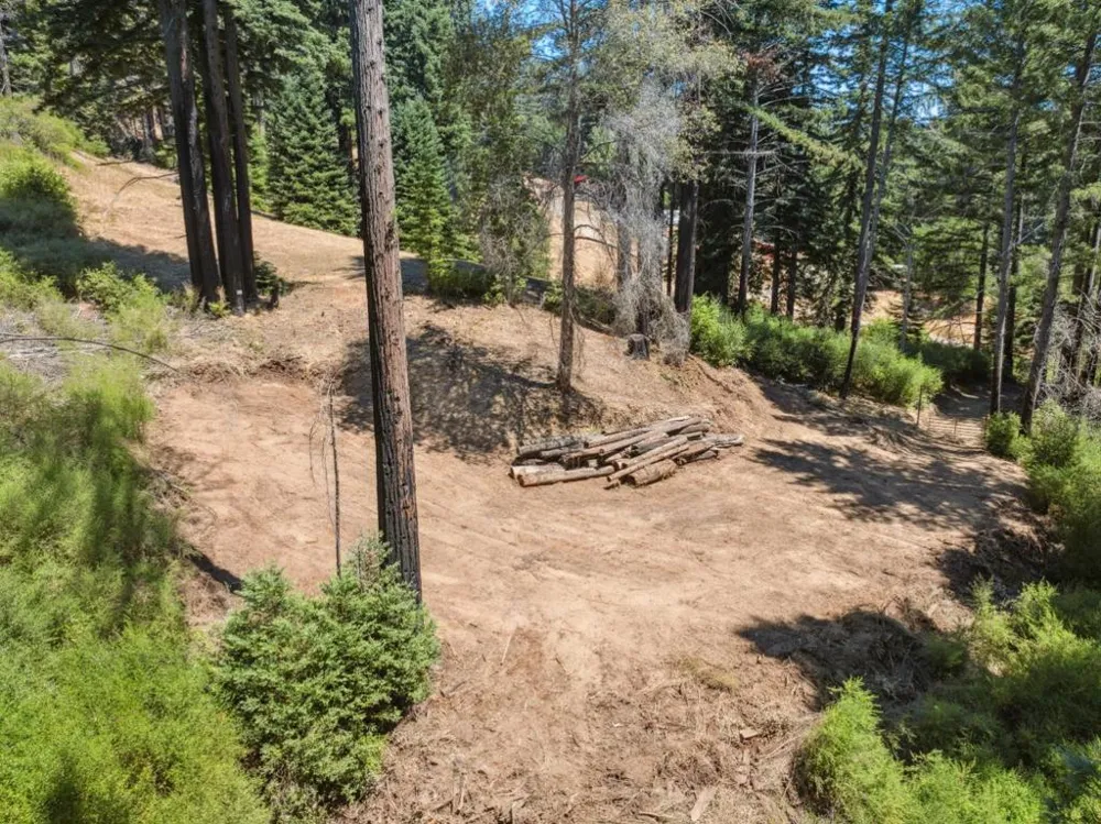 & 06 Branson Boulder Creek, CA 95006
