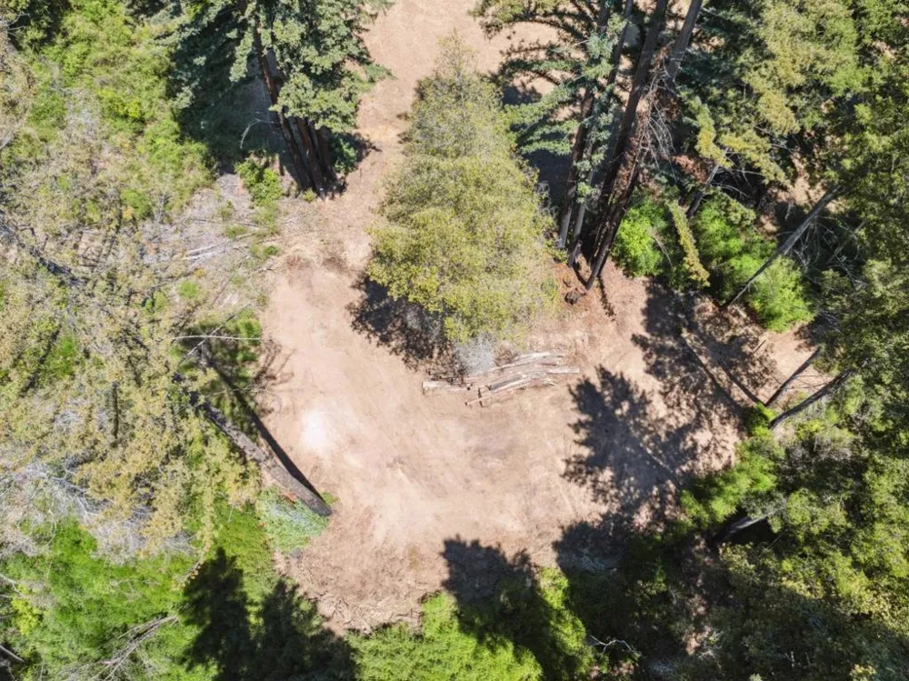 & 06 Branson Boulder Creek, CA 95006