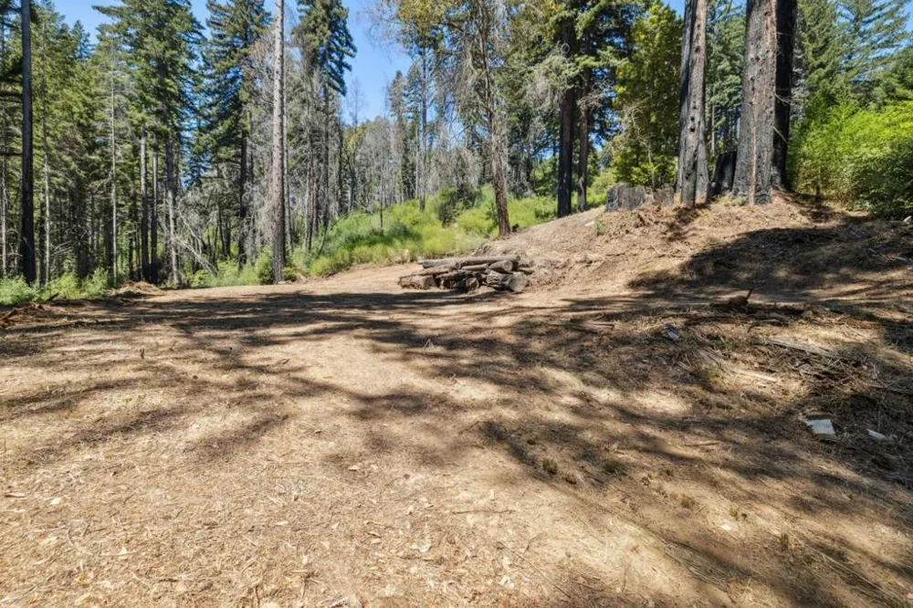& 06 Branson Boulder Creek, CA 95006