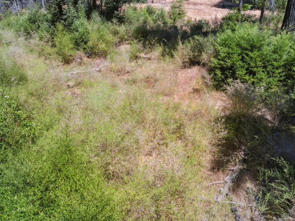 & 06 Branson Boulder Creek, CA 95006
