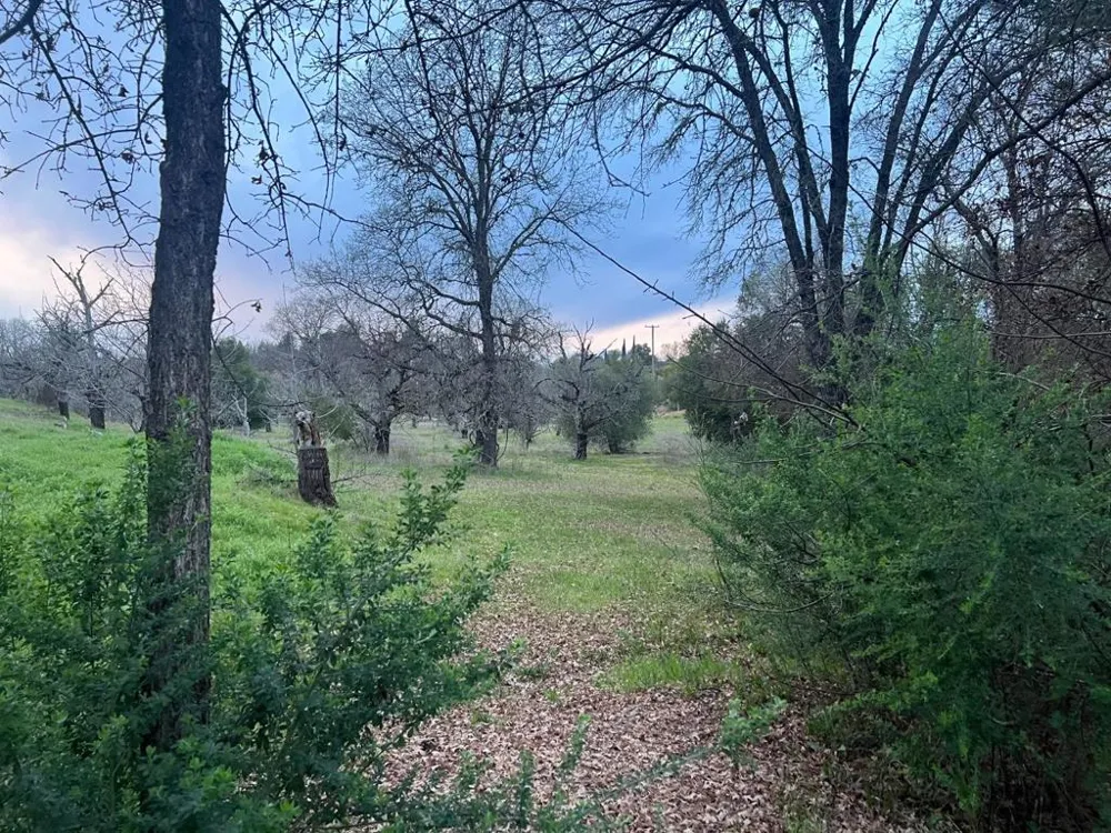 1301 Sixth Street Lakeport, CA 95453
