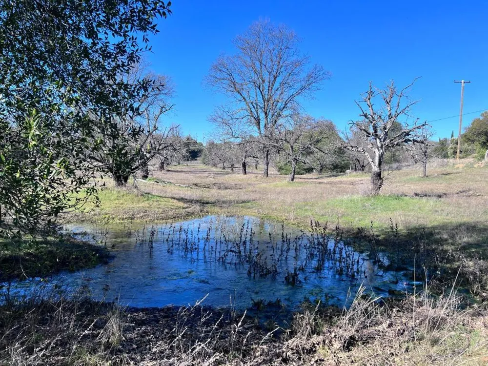 1301 Sixth Street Lakeport, CA 95453