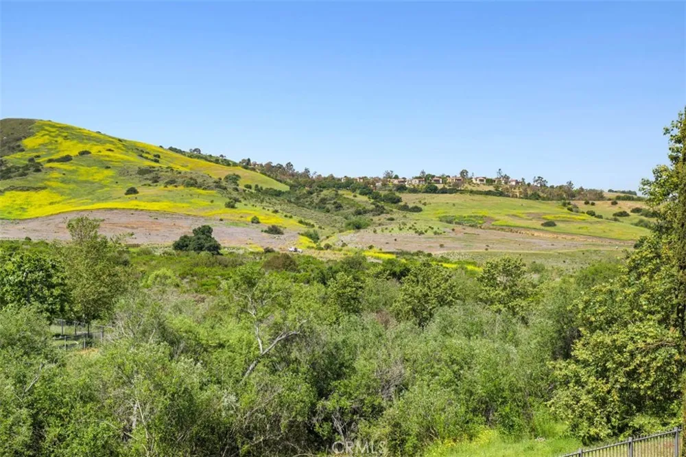 31 Black Hawk Irvine, CA 92603