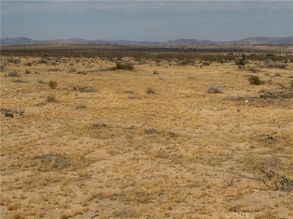62626 Pole Road Joshua Tree, CA 92252