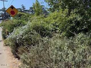 591 Alameda Street Altadena, CA 91001