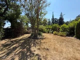 591 Alameda Street Altadena, CA 91001