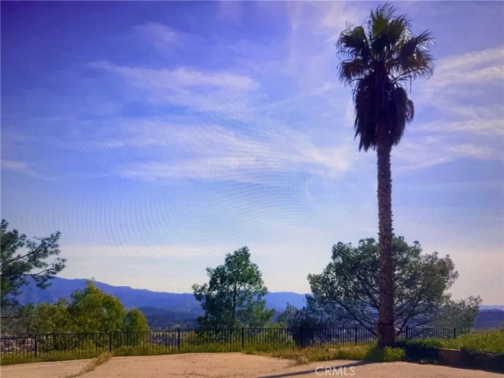 9557 Hierba Agua Dulce, CA 91390