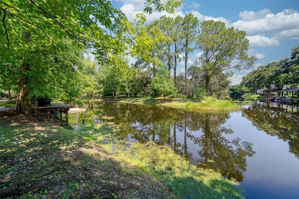 12085 SANDY SHORES DRIVE Windermere, FL 34786