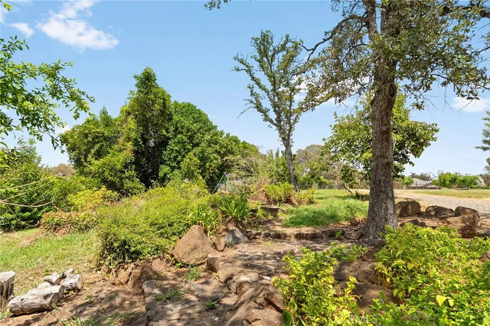 4626 Pat Lane Loma Rica, CA 95901