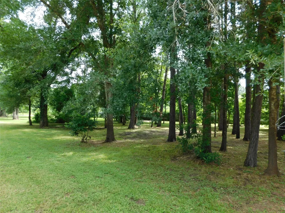 141 Martinez Street Coldspring, TX 77331
