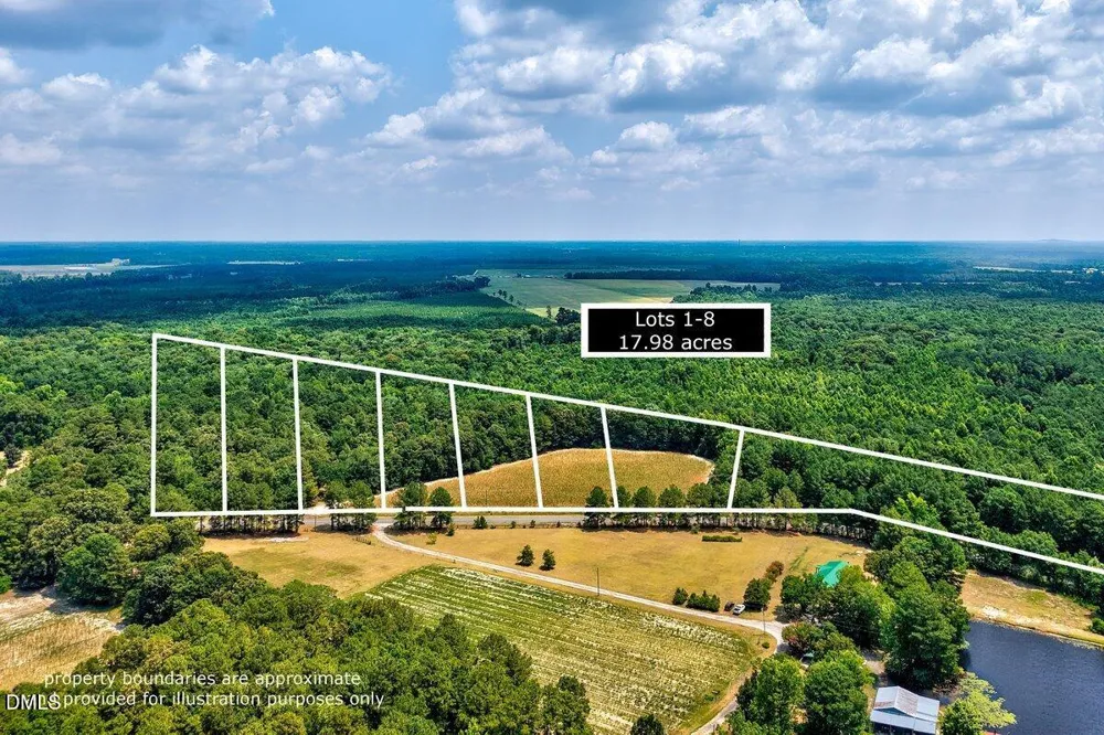 Lot 2 Ruth Vinson Road Autryville, NC 28318
