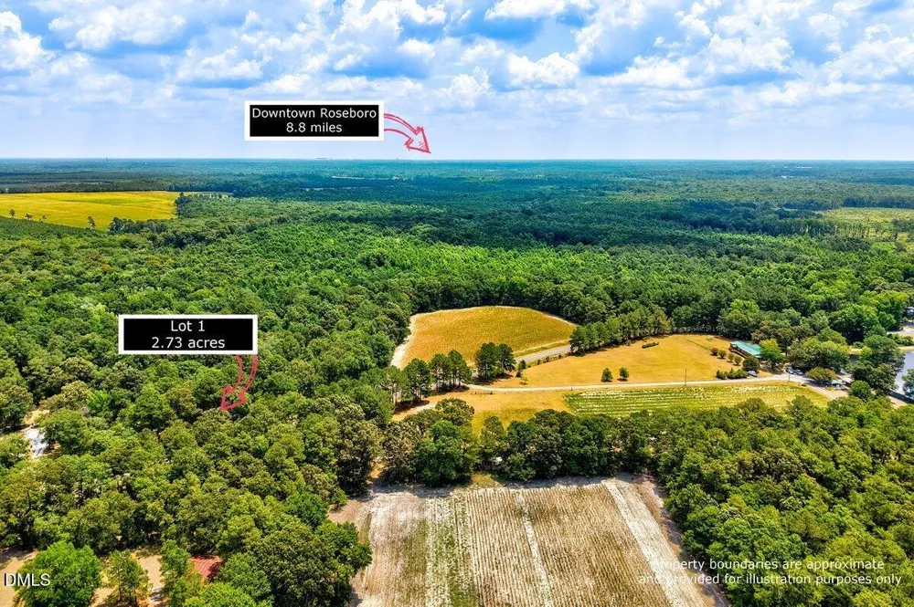Lot 1 Ruth Vinson Road Autryville, NC 28318