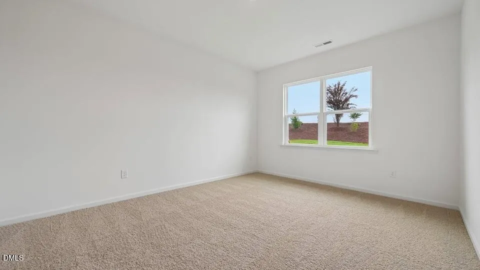 717 Sparkling Pear Drive Willow Springs, NC 27592
