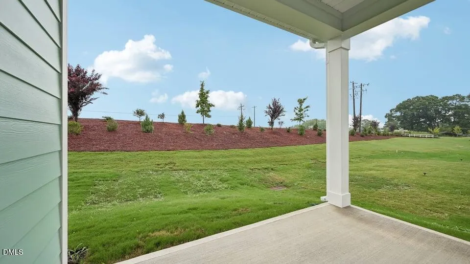 717 Sparkling Pear Drive Willow Springs, NC 27592