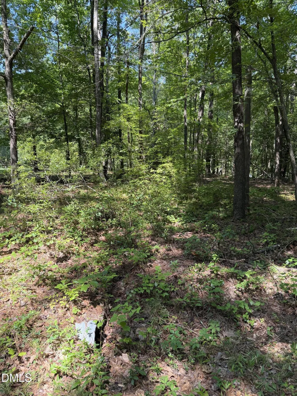 153 Omaha Drive Louisburg, NC 27549