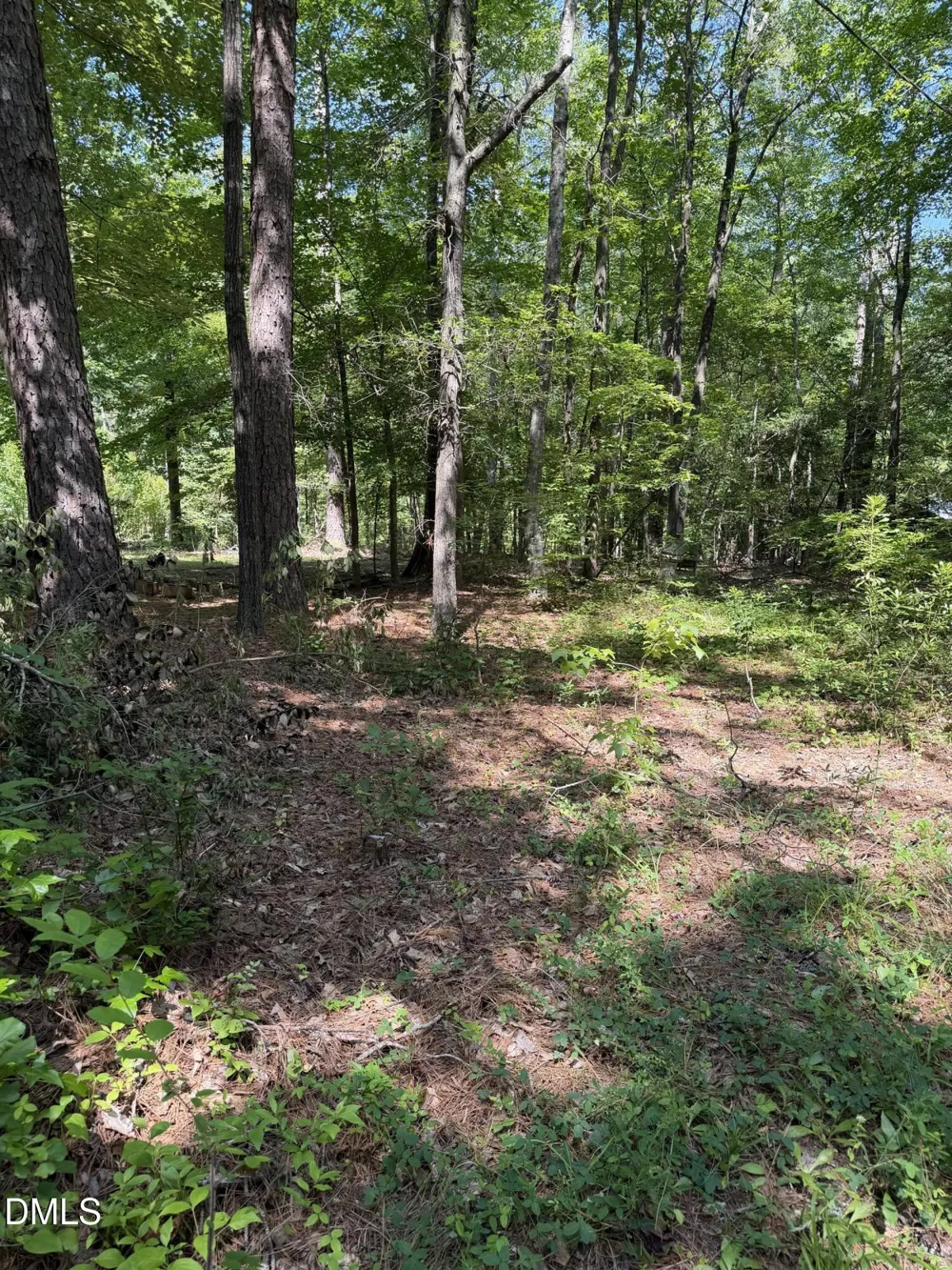 153 Omaha Drive Louisburg, NC 27549