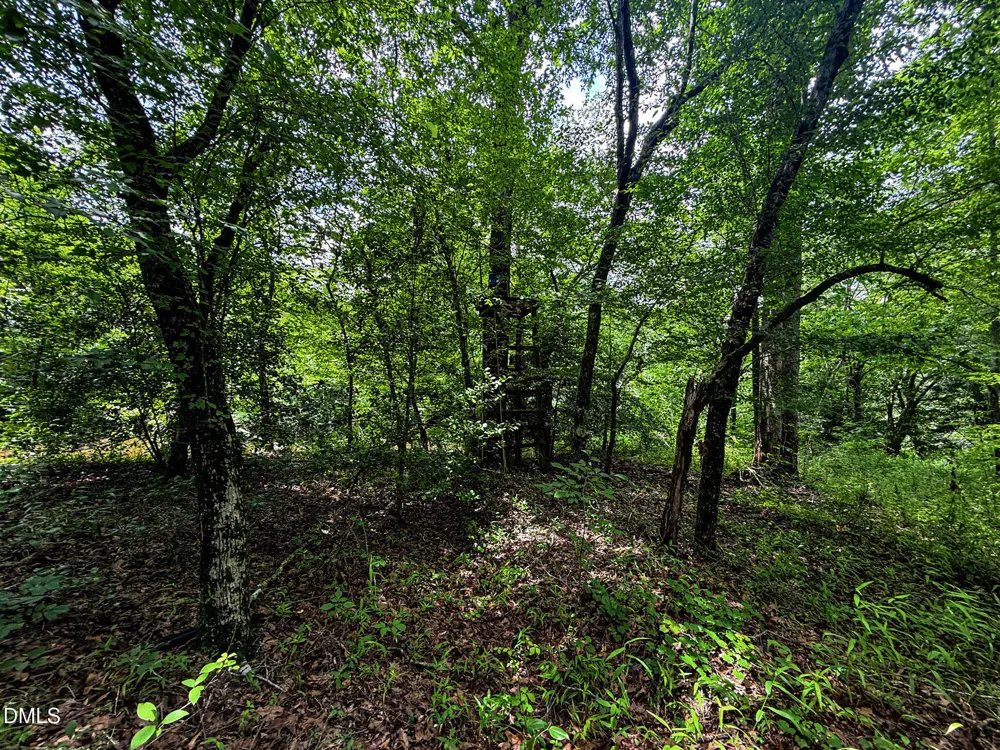 147 Hood Loop Road Henderson, NC 27537