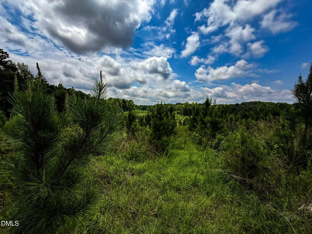 147 Hood Loop Road Henderson, NC 27537
