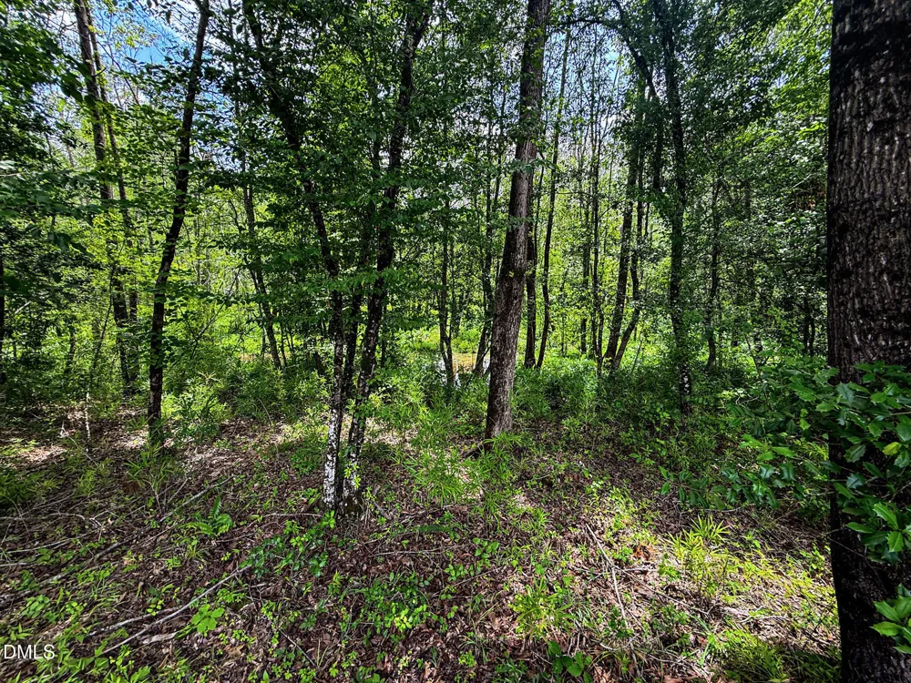 147 Hood Loop Road Henderson, NC 27537