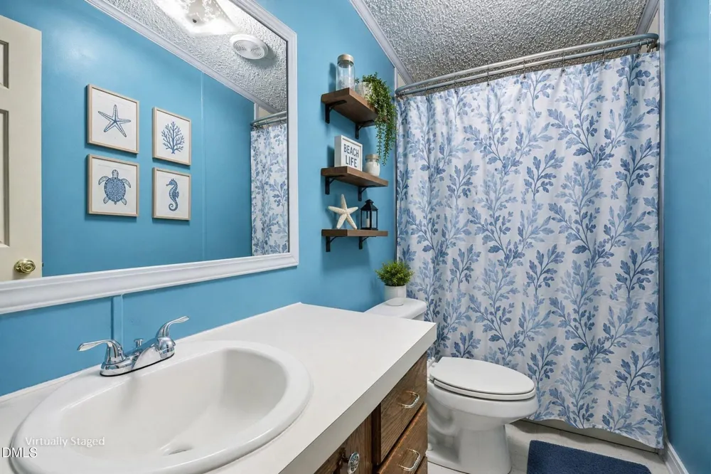 169 Mount Pleasant Road Willow Springs, NC 27592