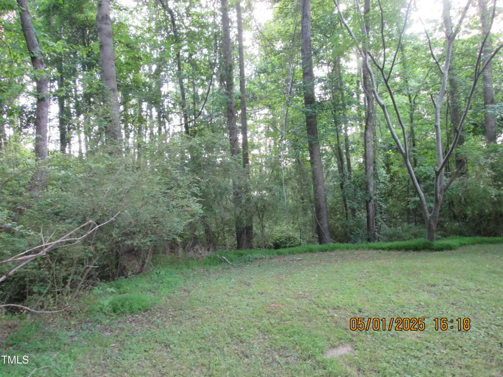 169 Mount Pleasant Road Willow Springs, NC 27592