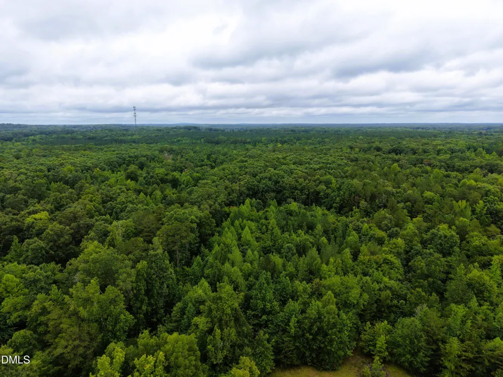 0 Weldon Painter Road Timberlake, NC 27583