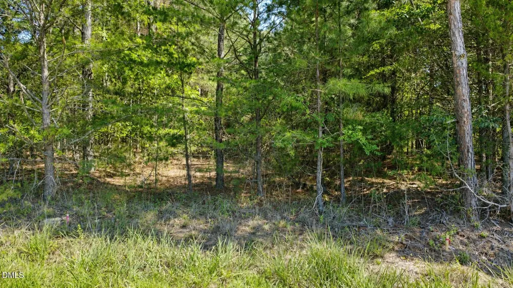0 Weldon Painter Road Timberlake, NC 27583