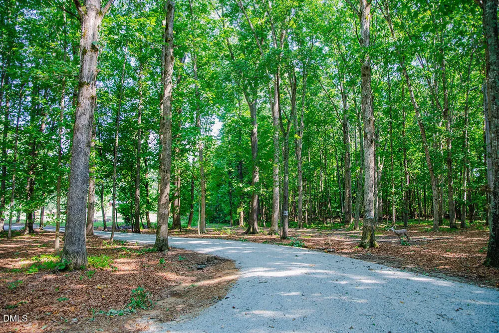 194 Robert Whitfield Road Hurdle Mills, NC 27541
