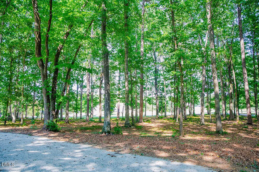 194 Robert Whitfield Road Hurdle Mills, NC 27541