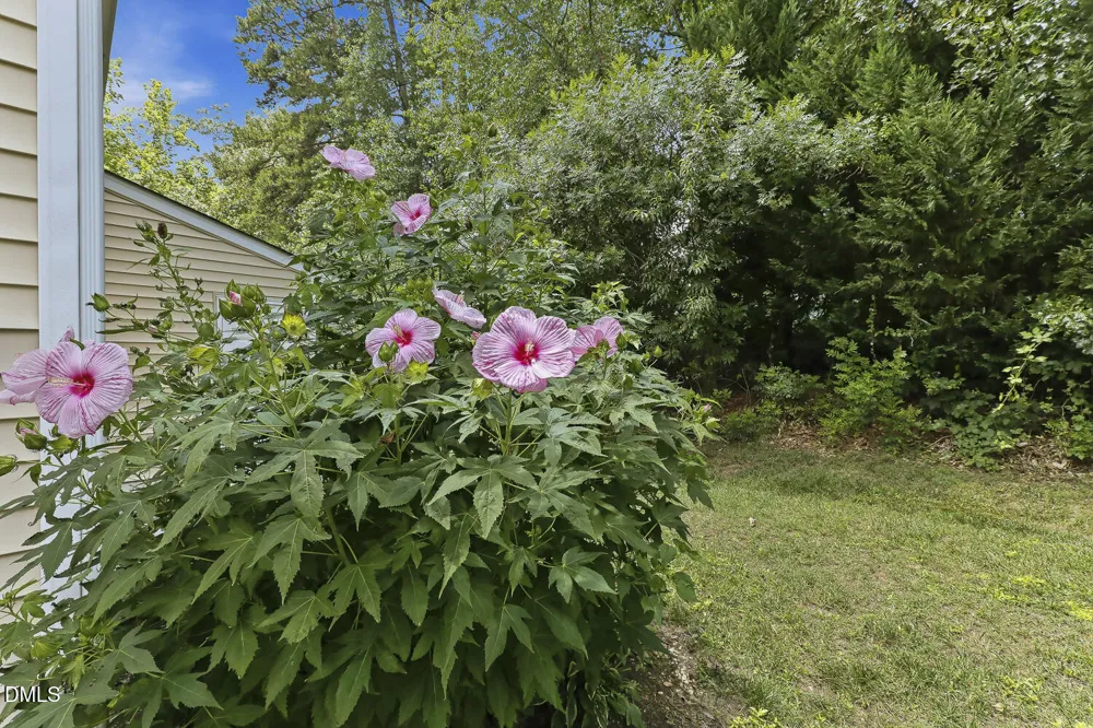 228 Harbor Haven Drive Apex, NC 27502