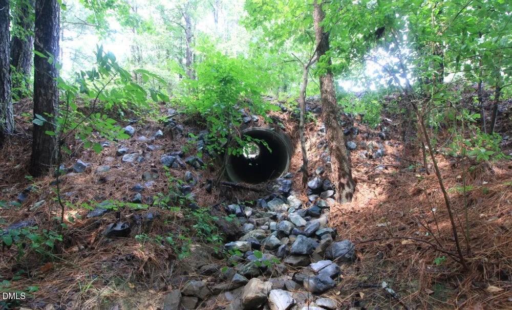 0 Hwy 42 Moncure, NC 27559