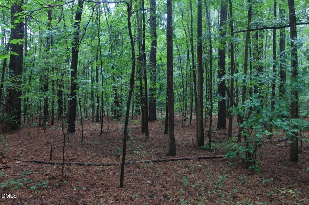 0 Hwy 42 Moncure, NC 27559