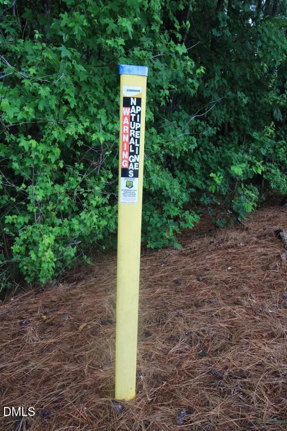 0 Hwy 42 Moncure, NC 27559
