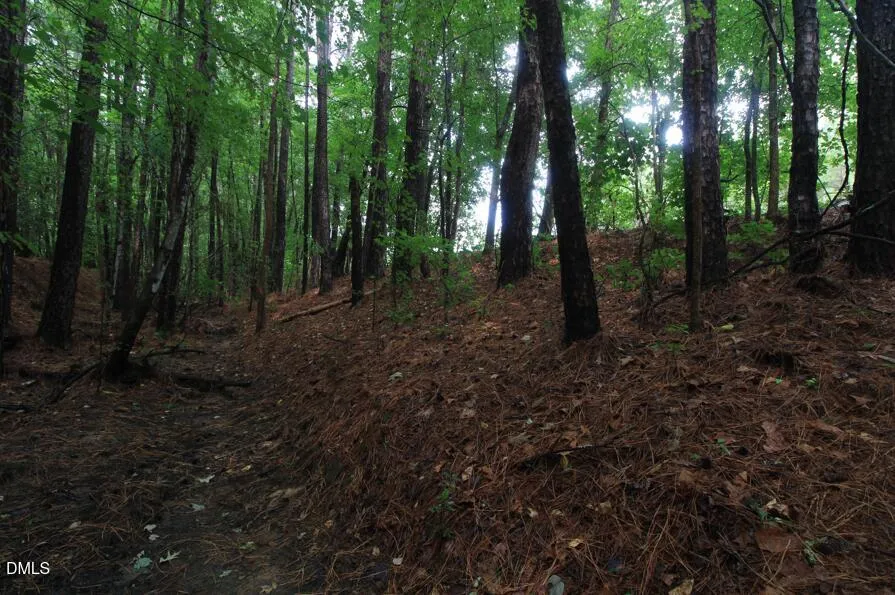 0 Hwy 42 Moncure, NC 27559