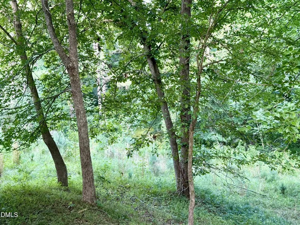 5019 Dorsey Road Oxford, NC 27565