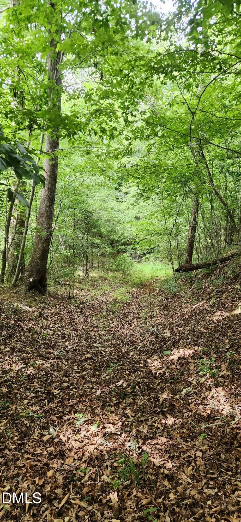 0 Helena Moriah Road Timberlake, NC 27583