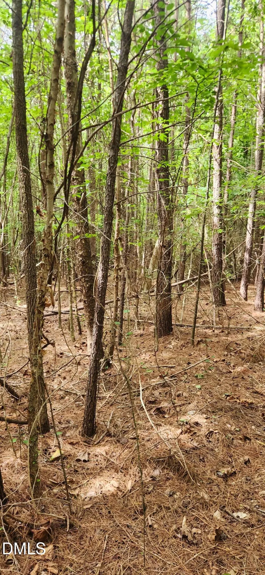 0 Helena Moriah Road Timberlake, NC 27583