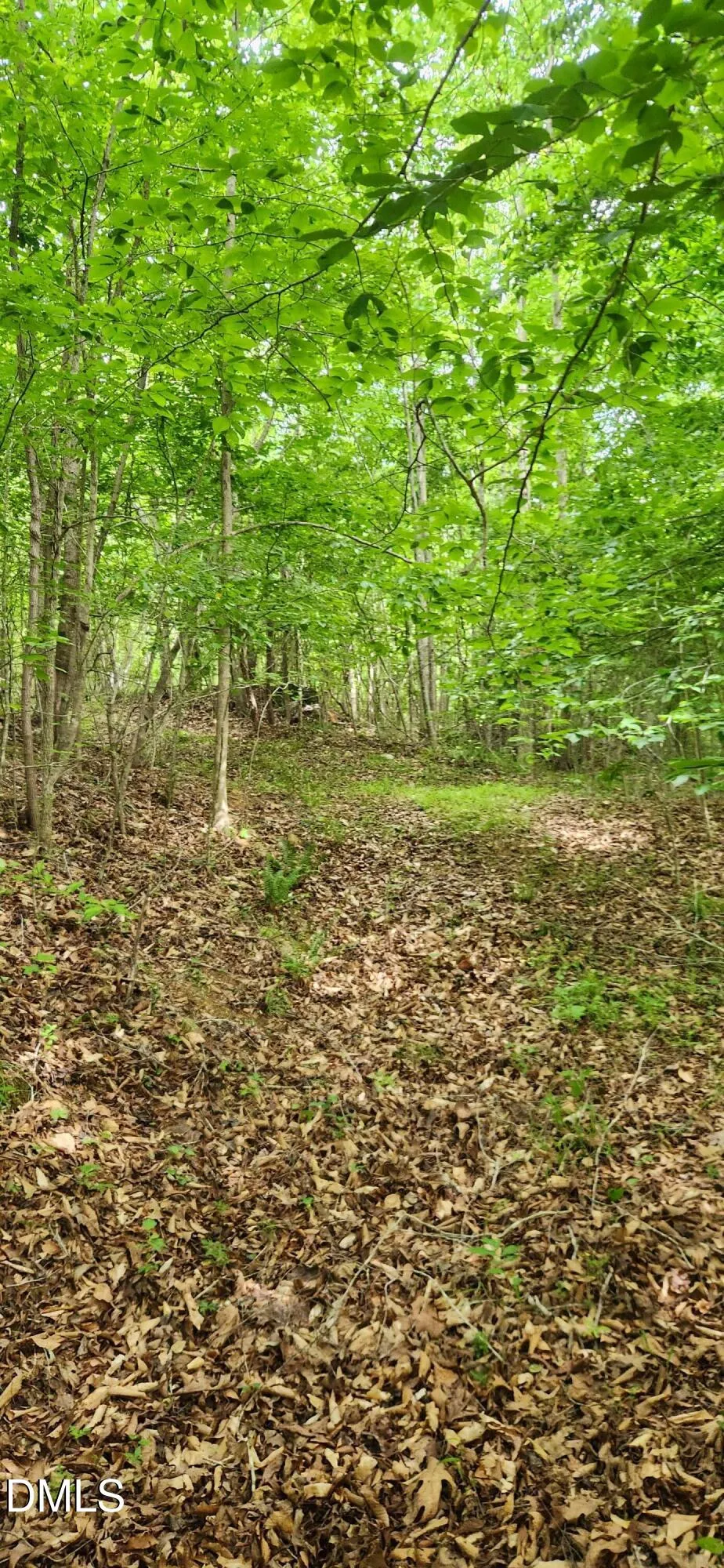 0 Helena Moriah Road Timberlake, NC 27583