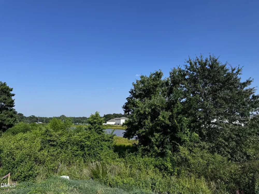 62 Thistle Patch Place Angier, NC 27501