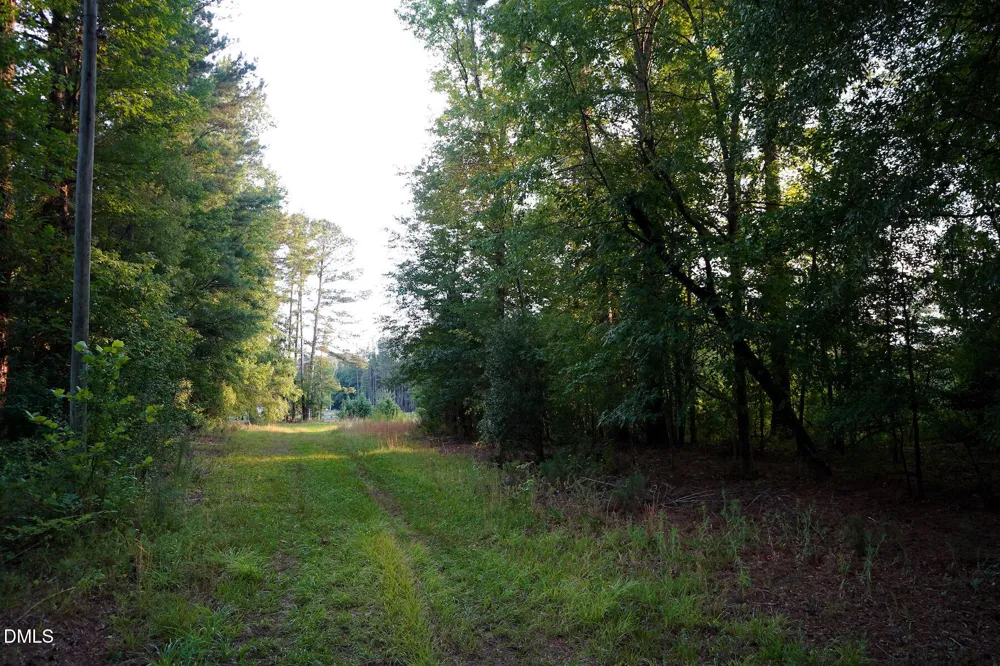 19.2 Acres Bunnlevel Erwin Road Erwin, NC 28339