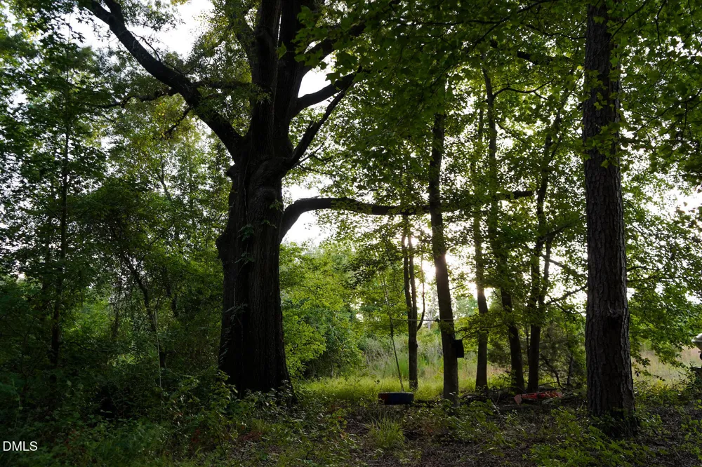 19.2 Acres Bunnlevel Erwin Road Erwin, NC 28339