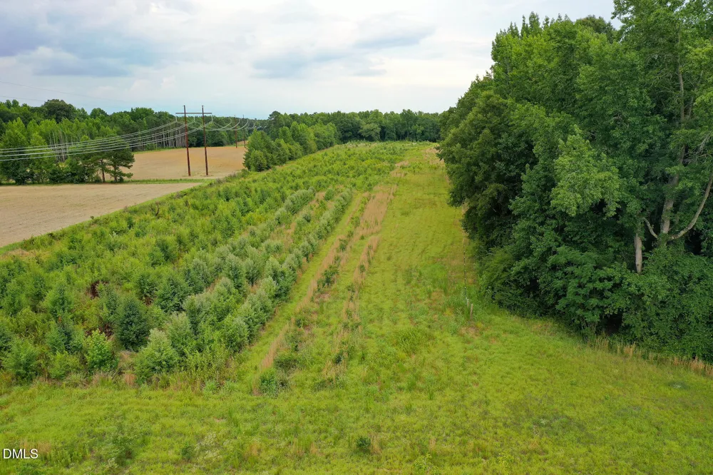 19.2 Acres Bunnlevel Erwin Road Erwin, NC 28339