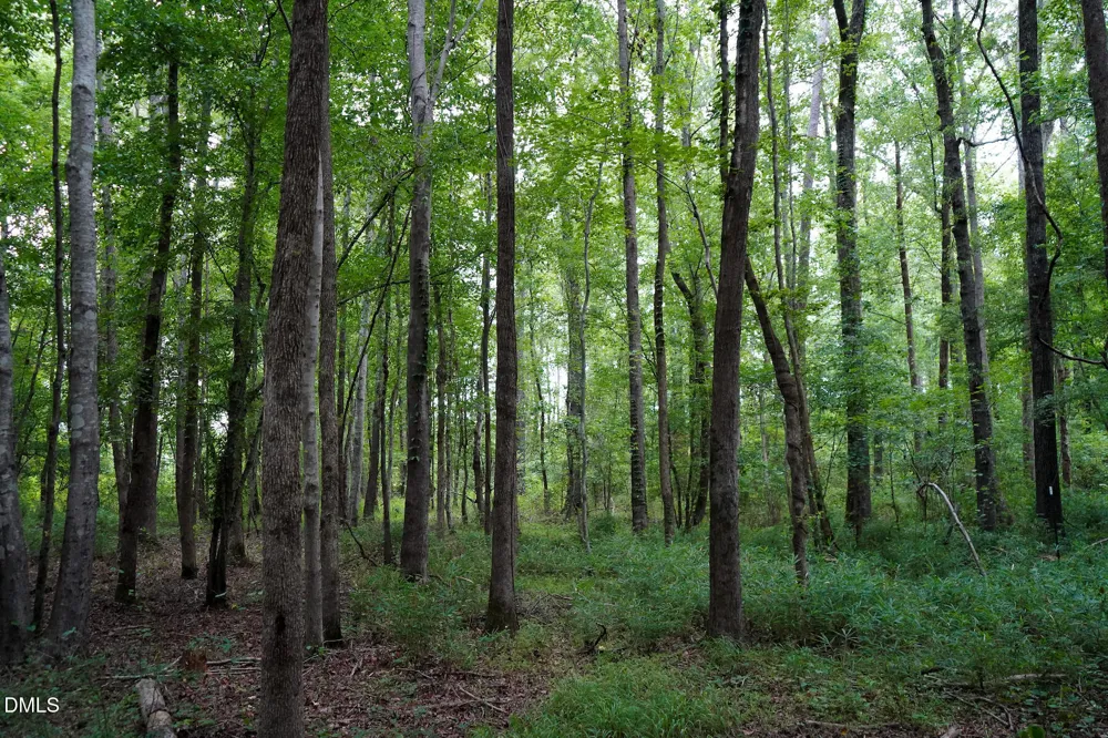 19.2 Acres Bunnlevel Erwin Road Erwin, NC 28339