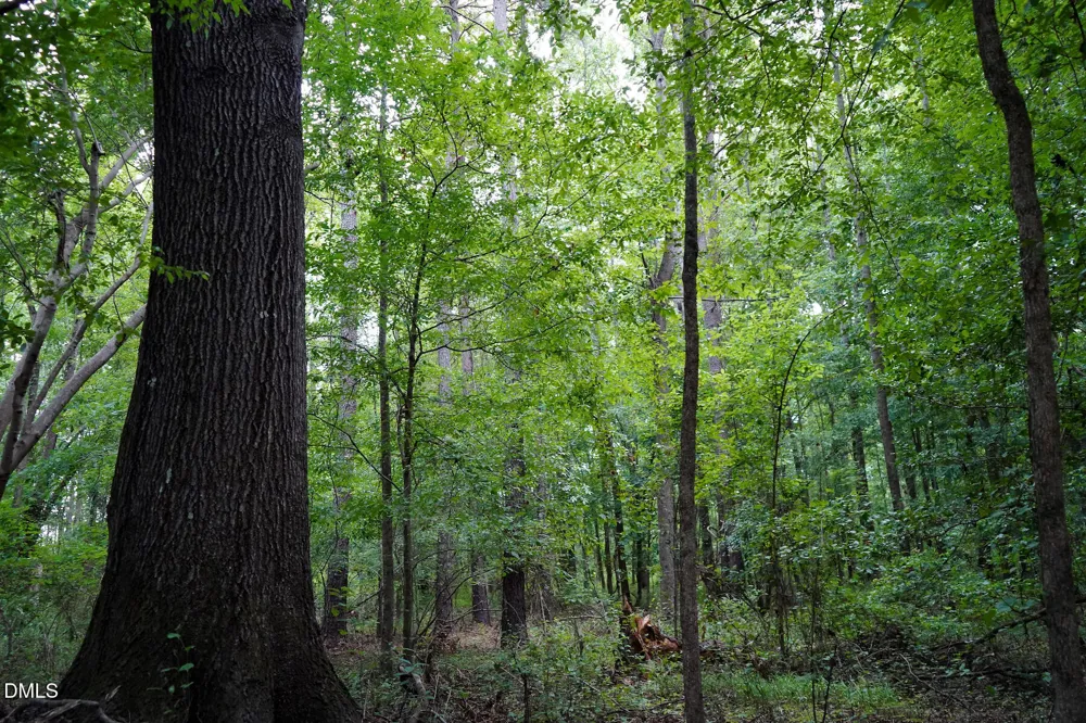 19.2 Acres Bunnlevel Erwin Road Erwin, NC 28339