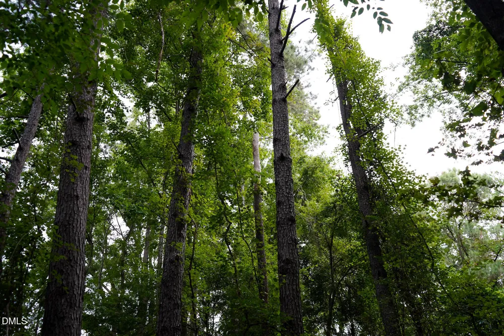 19.2 Acres Bunnlevel Erwin Road Erwin, NC 28339