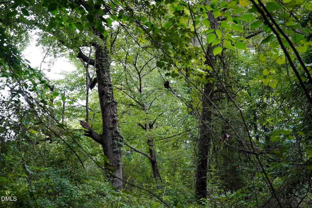 19.2 Acres Bunnlevel Erwin Road Erwin, NC 28339